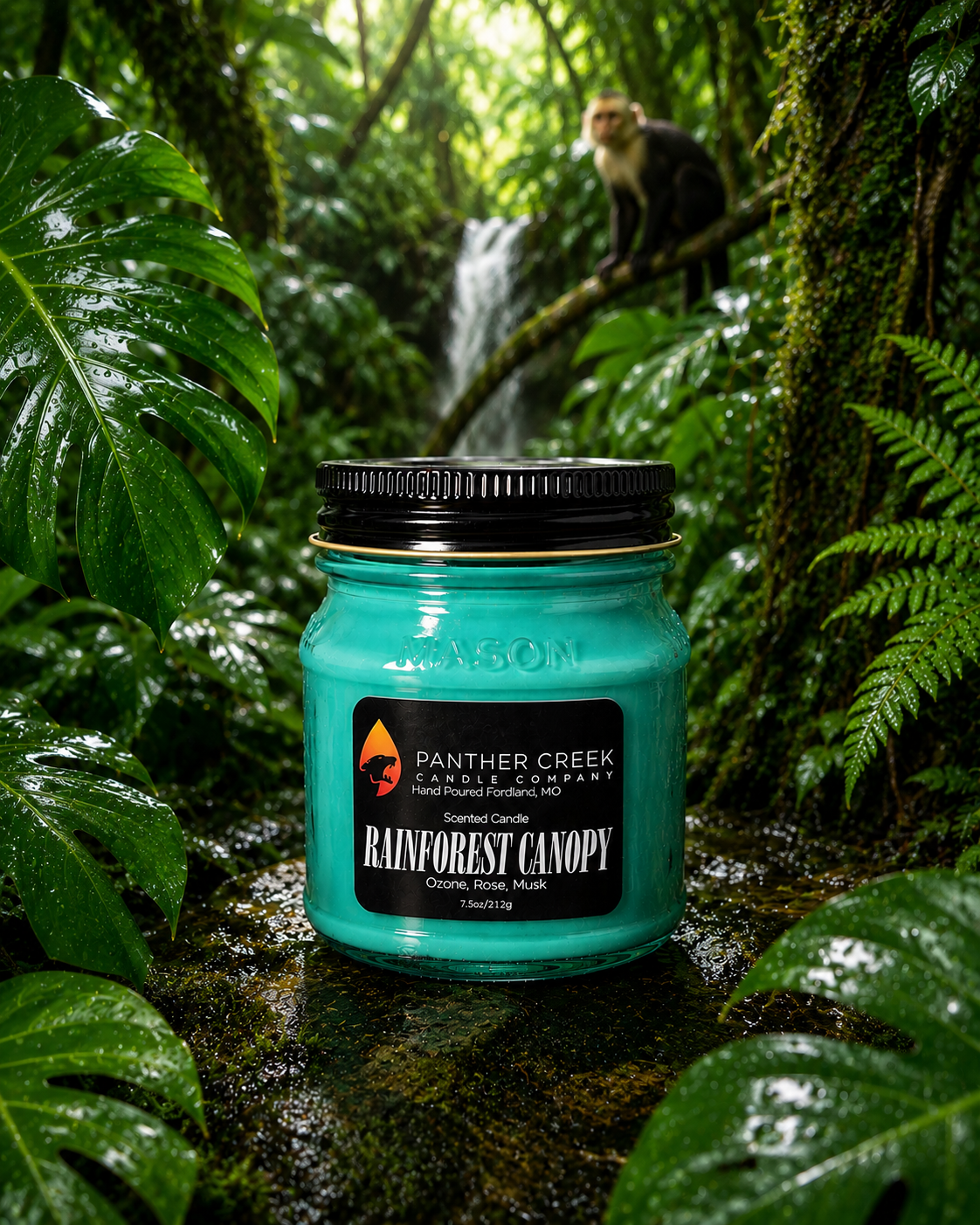 Rainforest Canopy