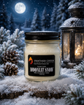 Moonlit Snow