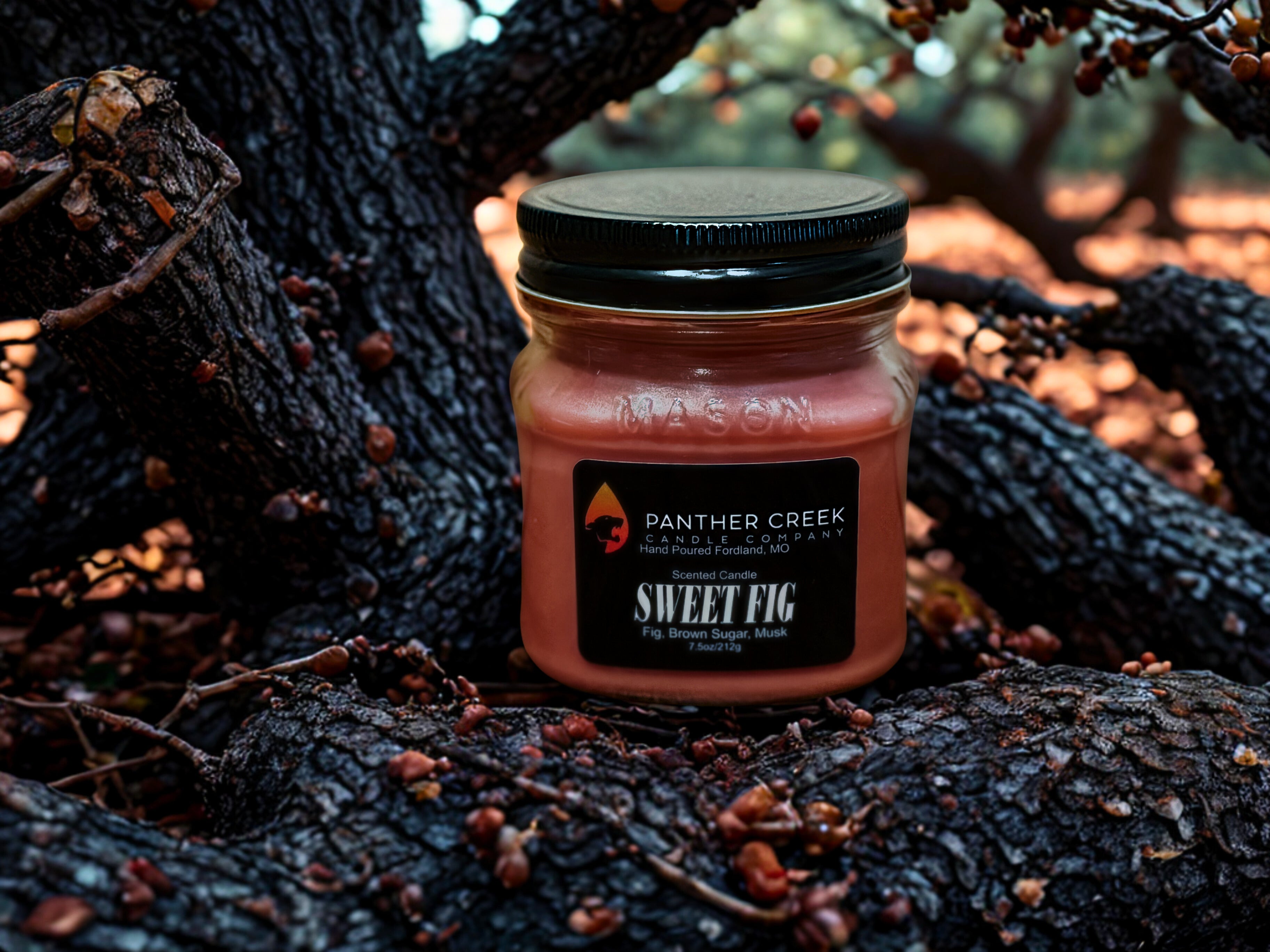 Sweet Fig